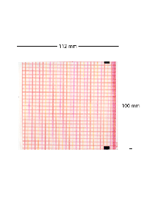 EKG-Papier, Cardioline Delta 3 Plus 