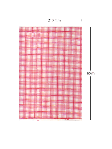 EKG-Papier, Cardioline Delta 60 Plus