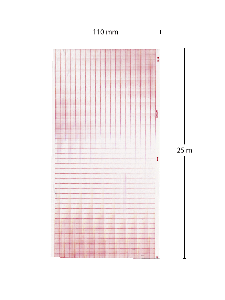 EKG-Papier, Hörmann Bioset 3500 
