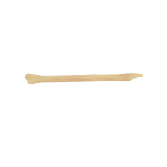 Abstrichspatel Cervix 