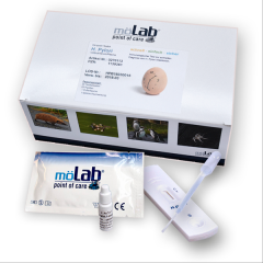 möLab® Helicobacter pylori Kassette