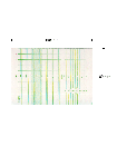 CTG-Papier, Kranzbühler Fetacare 